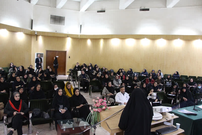 00031.jpg - 97.13 kB