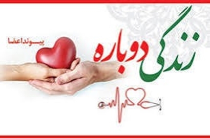 اهدای عضو جوان ۲۴ ساله مشهدی، فرصتی دوباره برای زندگی بیماران نیازمند پیوند فراهم کرد